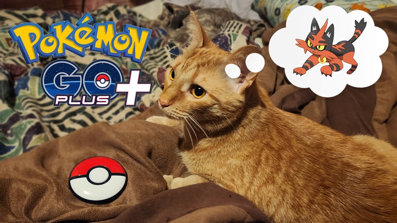 Pokemon (Sleep) Go Plus² (Unboxing & Review) - YouTube