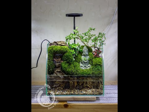 Video #Making paludarium waterfall and buddha - #Cách làm hồ... - youtube