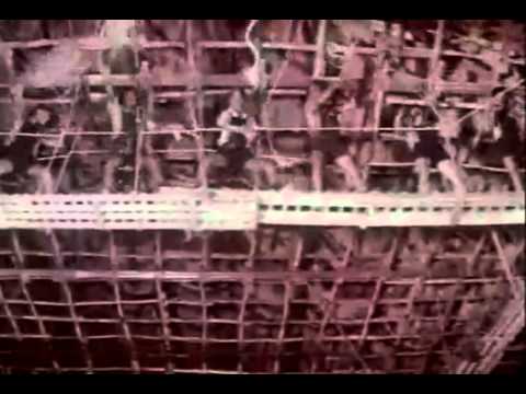 Classic Melody Poove Unnai Nesithen - Paruvaragam - Hamshalekha - SPB - Janaki.mp4