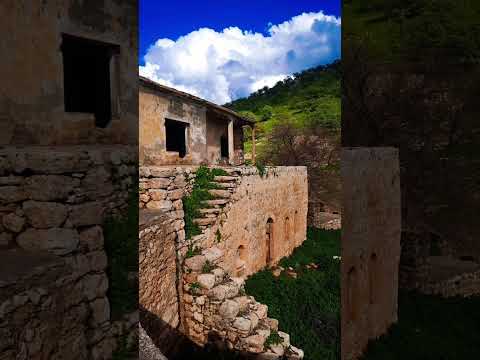 صوت صقر يصرخ من الخوف لكن لاره