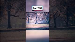 Scenes of Autumn in 1971! #DPAShorts