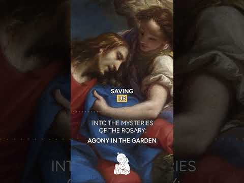 Old Adam vs New Adam | Into the Mysteries of the Rosary Ep 12