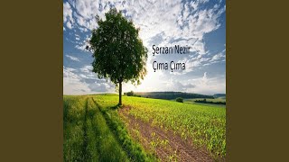 Sincane - Şerzan Nezir