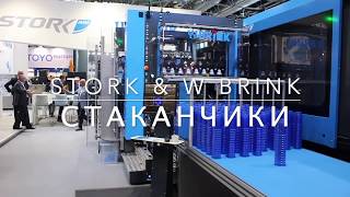 K2019 STORK W BRINK