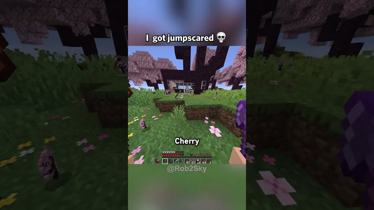 Optical Illusion  - YouTube Auto PHP Script