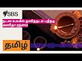 நடன உலகில் தனித்தடம் பதித்த அனிதா ரத்னம் | SBS Tamil - SBS தமிழ் | Podcast