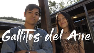 Gallitos del Aire - Los Pangi (Official Video)