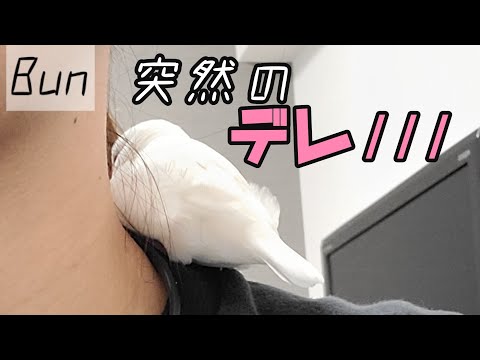 いつもは一定の距離保ってるのに。