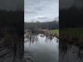 The beauty of nature’s song