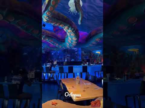 Octopus