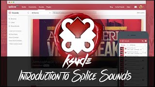 Showing You Splice Sounds , It's amazing! (Links to join Splice In Description) Showing You Splice Sounds , It's amazing! (Links to join Splice In Description)