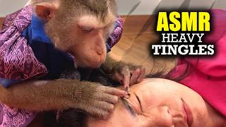 Download Lagu The Most Relaxing ASMR Monkey Grooming | Gentle Hair Picking for Tingles MP3