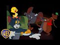 Tom y jerry en latino  todos los animales de tom y jerry   el mes del animal   wbkidslatino