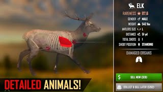 #americanmarksman #fps #hedef #simulasyon #atishi #gaming #eğlence screenshot 4