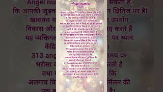 313 angel number meaning💫 #angelnumbers #hindi #angel #blessings #divine #highvibes #positivevibes Wealth