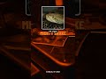 Pit Vipers: Snakes That See With Heat!