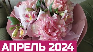 Мой Могилёв в апреле 2024 #жить_по_белорусски #могилёв