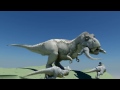 Beginning of video