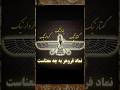 نماد فروهر به چه معناست نیمااحمدی فیلم سینما    