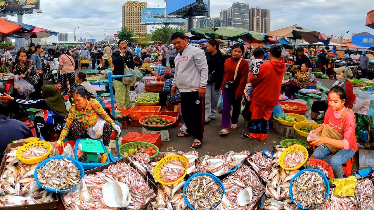 Fresh Fish, Pork, Beef, Shrimp, Vegetables, Chicken. Cambodia Fresh Food Market Tour.