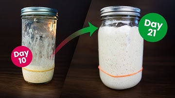 Easy No-Fail Sourdough Starter Tutorial | Day-by-Day Guide