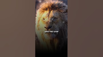 Once They Stop😈 | Lion king 👑| Motivational quotes #shorts #viral #quotes
