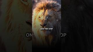 Once They Stop  Lion King  Motivational Quotes shorts viral quotes