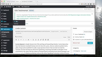ModernThemes Testimonials Plugin