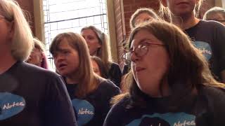 Whole Notes Spring Concert 2025
