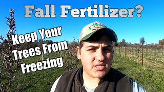 Easy Way to Get Fruit Trees Ready For Winter!