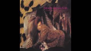 Dead Or Alive What I Want (7" Version) [Instrumental]