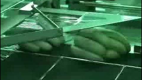 Auto Shrink Packaging Machine, HSA-006B with Banana packing