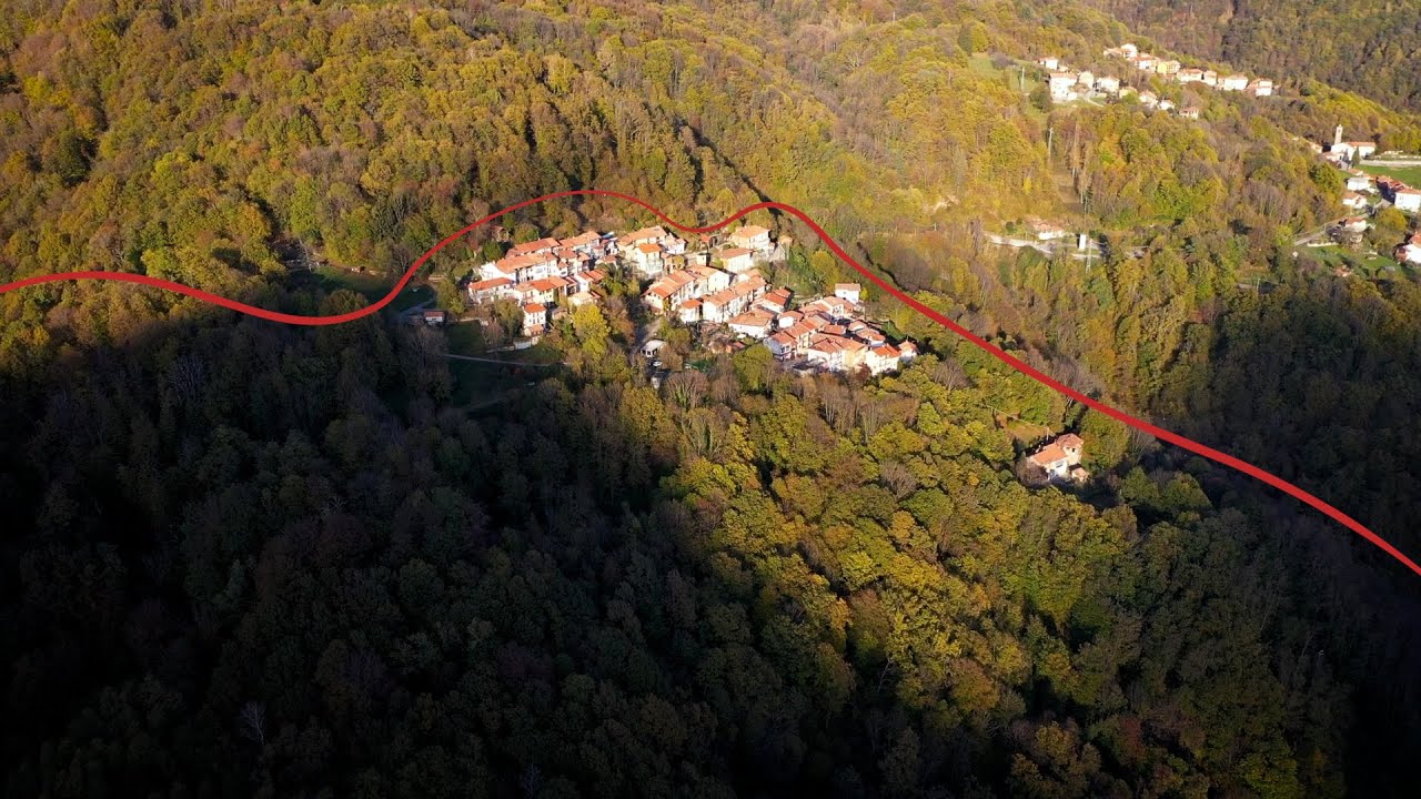 Il bosco, il legno, noi: c'è un filo che ci unisce