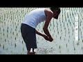 大愛全紀錄 20170910-大隱於市 獨立時代-片段