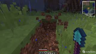 Famous Minecraft Java 05 01 2025 17 35 24 600 Wealth