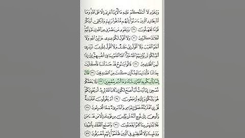 سورة هود - من الآية 24 حتى الآية 40