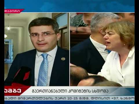 დეპუტატები ნიკა მელიასთვის იმუნიტეტის მოხსნის საკითხზე მსჯელობენ