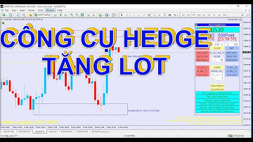 Tập 4 Tools - Công cụ giao dịch Forex HEDGE tự động tăng khối lượng giao dịch - tăng lot