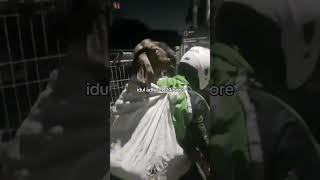 Idul Adha Coreshorts meme memes memesdaily iduladha core memeindonesia trending viral fyp