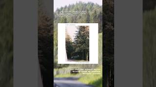 my song about roadtrips is 6         #altmusic #shorts