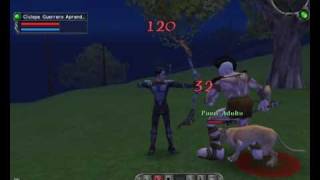 Regnum Online - Actualizacion Arquero