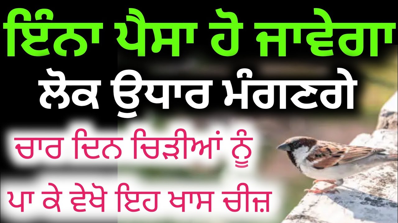 ਪੰਛੀਆ ਨੂੰ ਪਾਉ ਇਹ ਚੀਜ਼ ਤੇ ਘਰੋਂ ਕੱਢੋ ਪੈਸੇ ਦੀ ਕਮੀ।