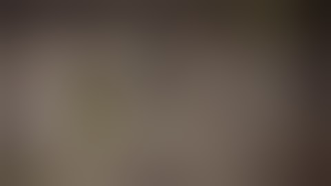 Fallout 4_how to fix main menu mod section when not selectable