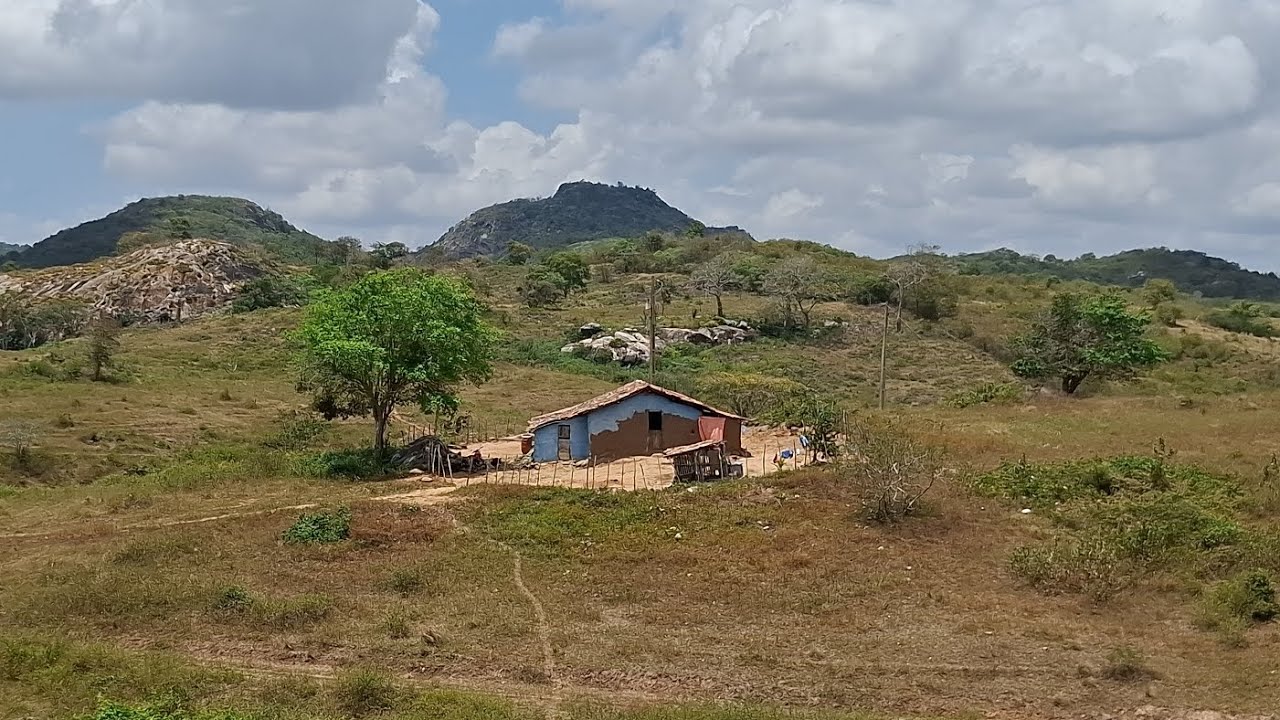 Mostrando uma casinha de taipa cheia de vida e sossego no interior Paraibano 