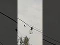 Spiders be like: