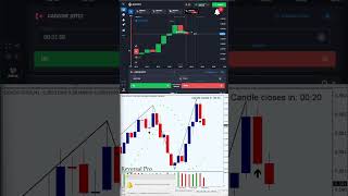 Reversal Pro Indicator: #binaryoptions #iqoptionwinningstrategy #quotex #mt4 #100winratestrategy