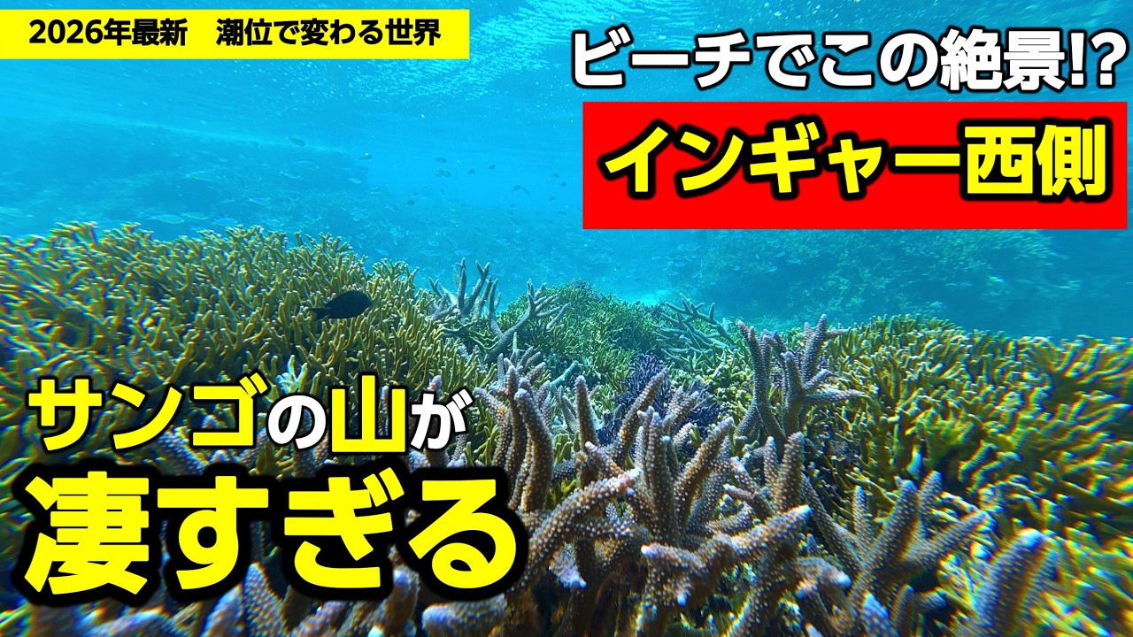 2026 Latest] Hidden Gem Snorkeling Spot in Miyako Island! The