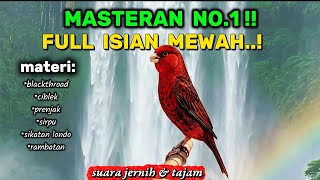 MASTERAN PALING DICARI‼️ Masteran burung kenari full isian super mewah