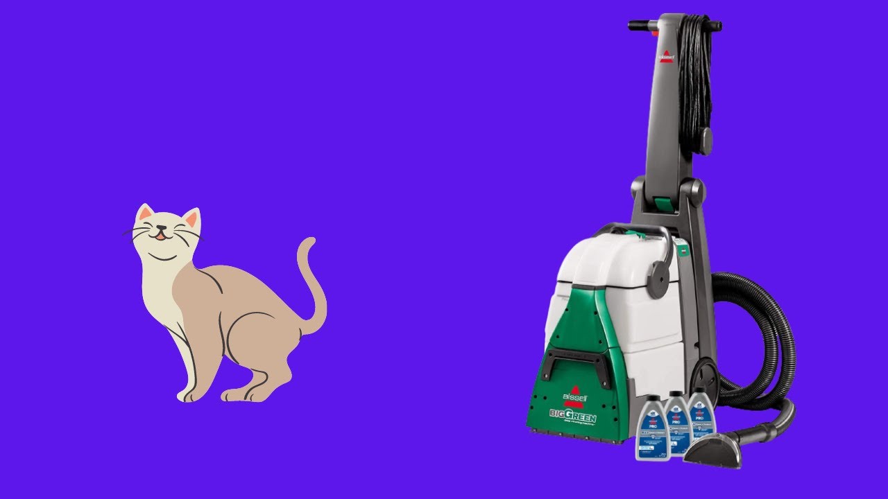 Before You Buy BISSELL Big Green Professional Carpet Cleaner YouTube