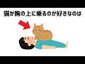 猫の雑学 #雑学 #豆知識 #ねこ